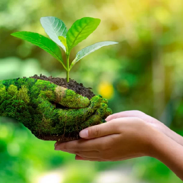 tecnologias-ambientales-y-su-importancia-en-la-preservacion-del-medio-ambiente