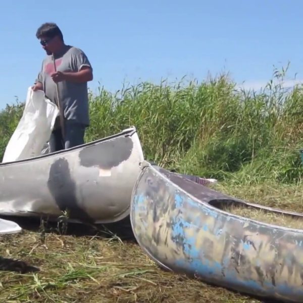 wild-rice-suez-minnesota-en-caso-de-derechos-de-la-naturaleza-para-detener-el-oleoducto