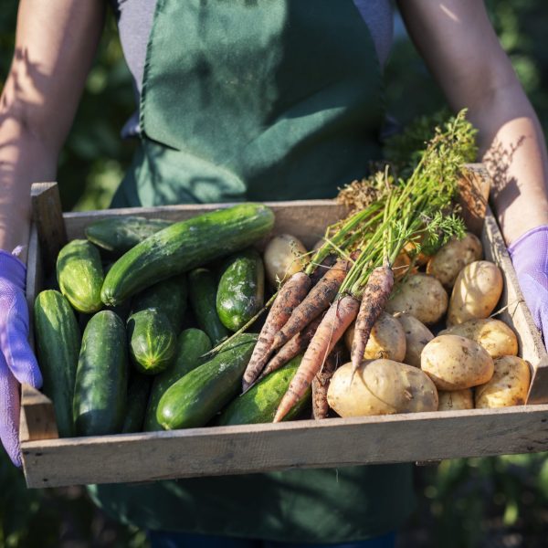 woman-holding-basket-with-vegetables-1161178030-04454e7c32c049fc97860c4346df3be5.jpg